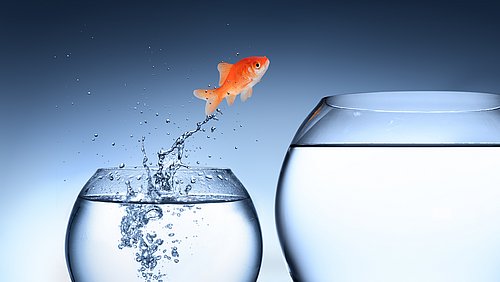 Link zur Seite: Fachweiterbildungen